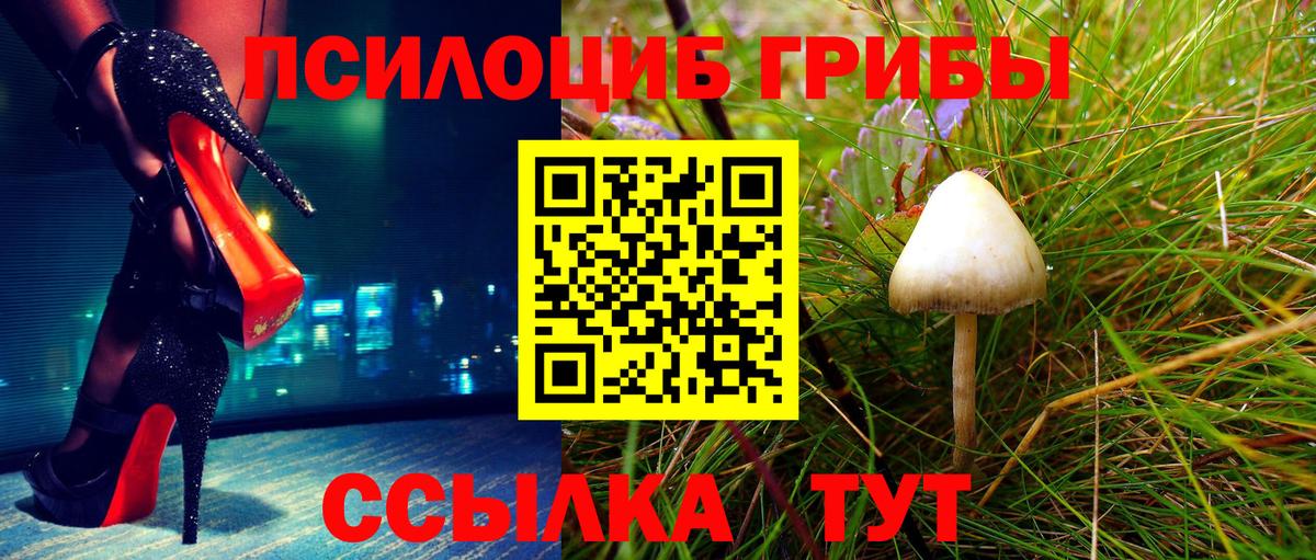Псилоцибиновые грибы Cubensis  Псилоцибиновые грибы Cubensis  Коломна  Вход с VPN 