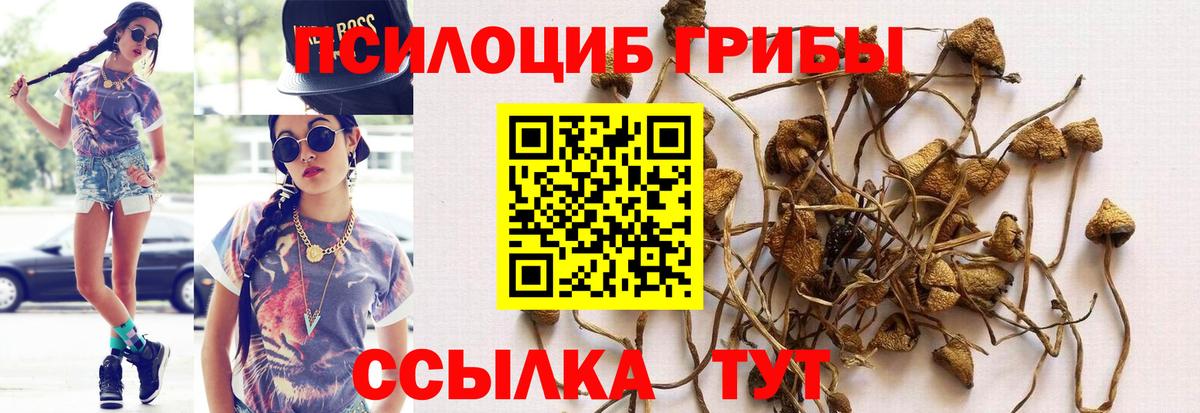 Галлюциногенные грибы прущие грибы Коломна